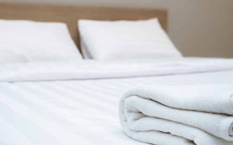 Bed Beg Exterminator Las Vegas Bed Beg Exterminator Las Vegas