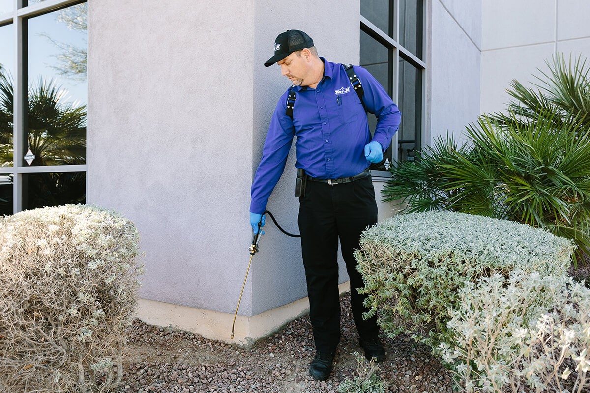 pest proof Las Vegas Pest Control Services