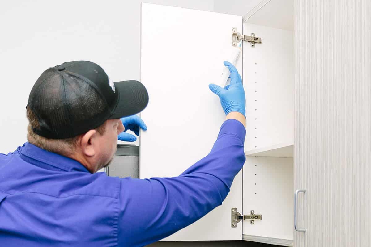 kitchen cabinet pest management treatment