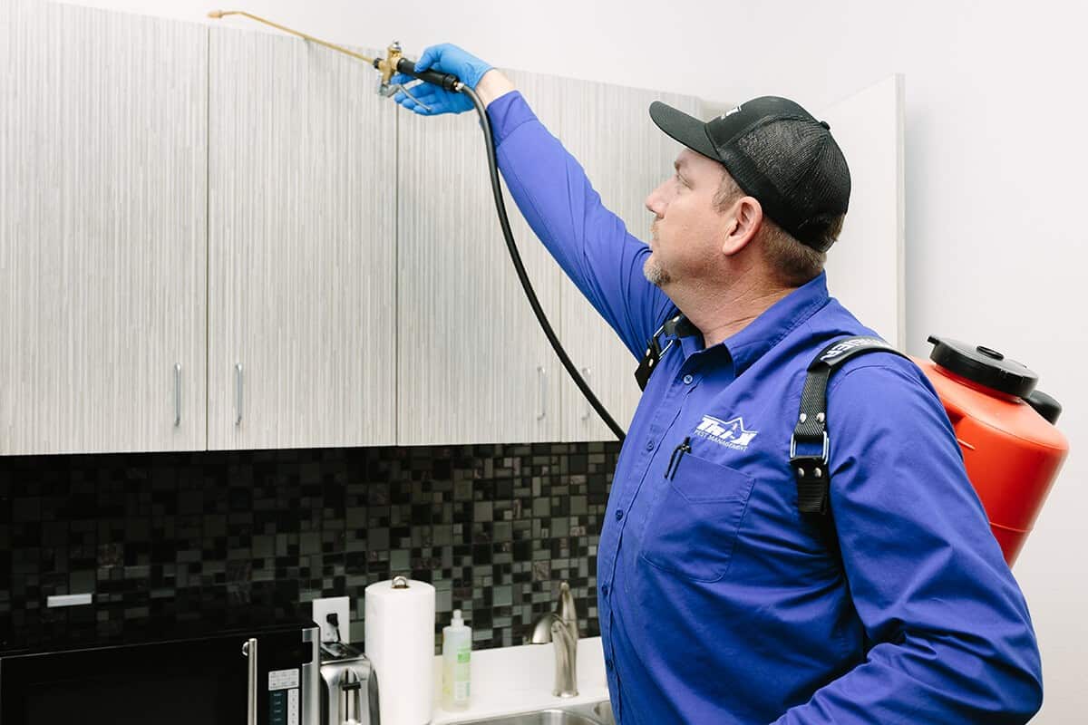 Pest Control Kitchen Cabinet Treatment