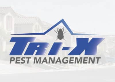 Protecting Your Home From Termites