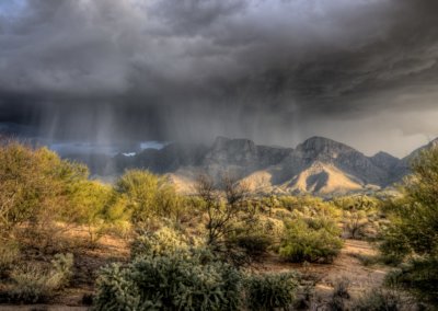 Monsoon Season and the Effect on Pests