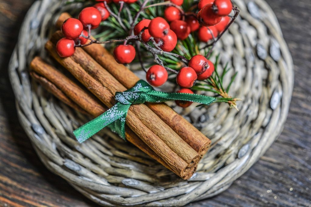 pests during holidays