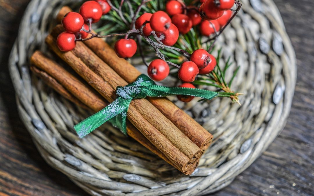Pests Throughout the Holidays