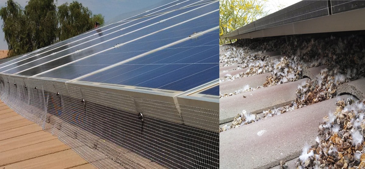 Bird Netting Around Solar Panels