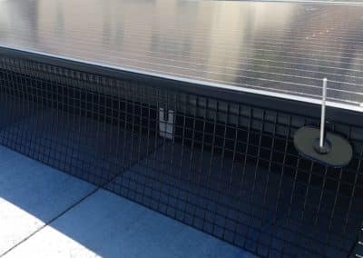Solar Panel Pigeon Protection After 2