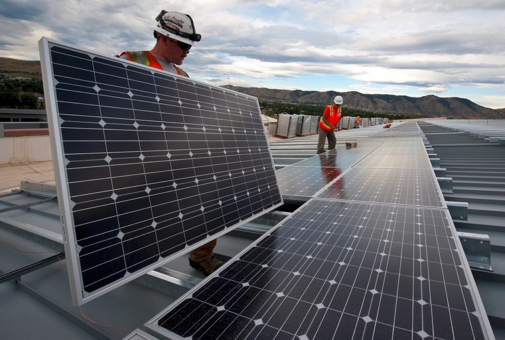 solar panels and birds