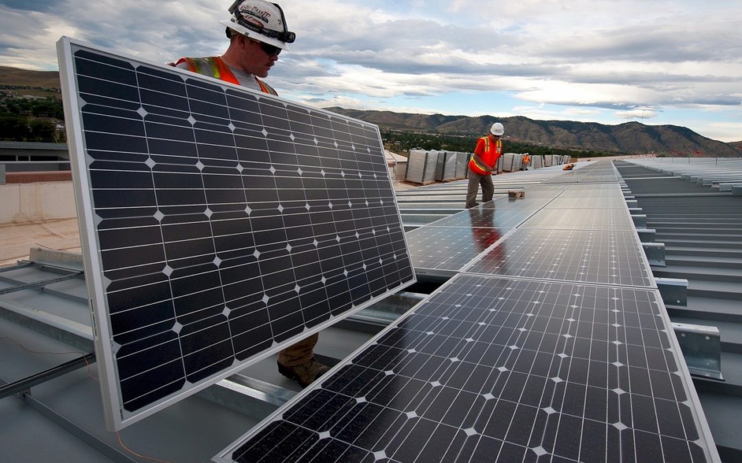 Solar Panels & The Importance of Bird Control