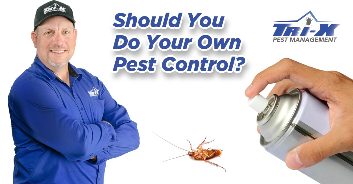Should You Do Your Own Pest Control