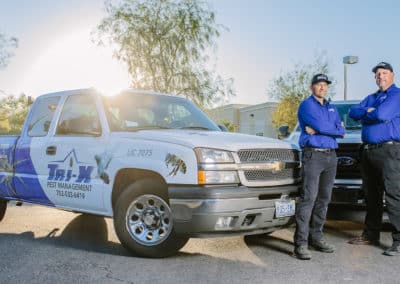 Searching For Pest Control Near Me? Look No Further