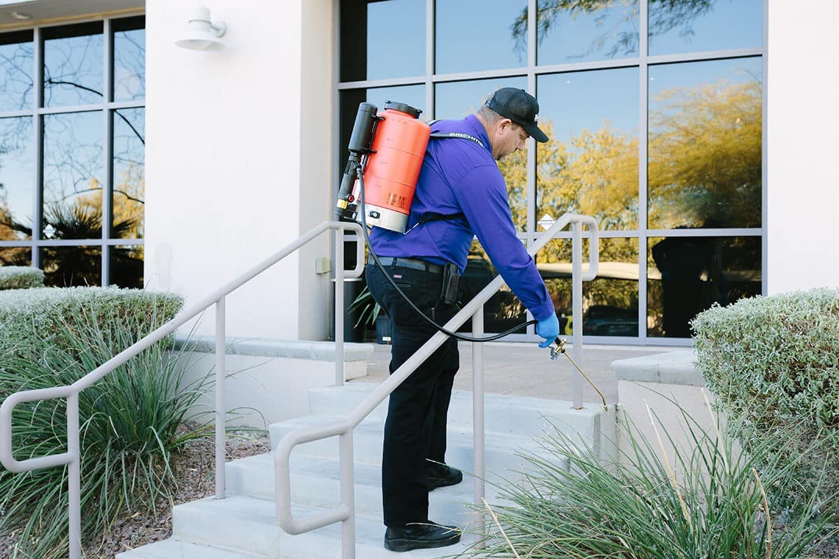 Outdoor commercial building pest control Outdoor commercial building pest control