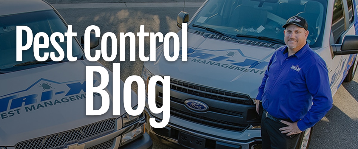 pest control blog