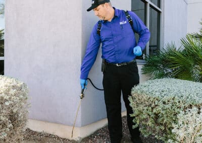 Should You Have Pest Control Done Even If You Don’t Have An Infestation?