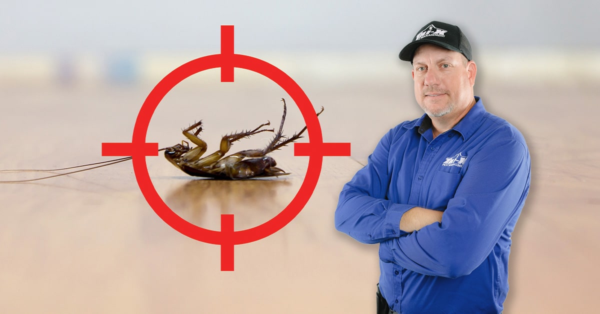 should you get pest control done even if you don't have an infestation? Yes!

Tri-X Pest Management tech stands with a cockroach in a target. Preventive pest control.
